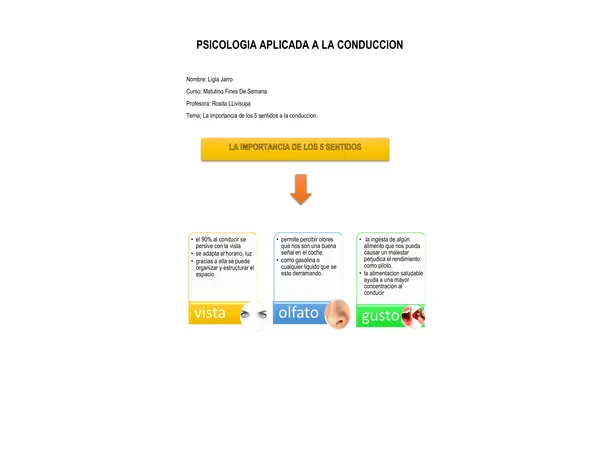 los 5 sentidos y la importancia en la conducción