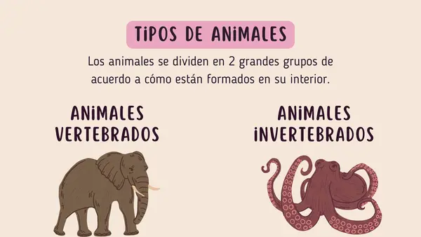 ANIMALES VERTEBRADOS (segundo básico)