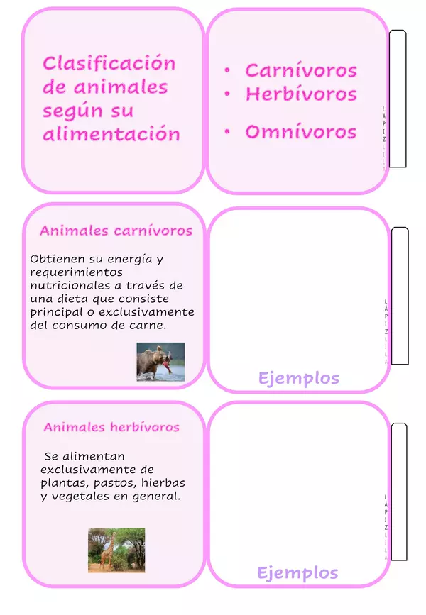 CLASIFICACIONES DE LOS ANIMALES PLEGABLES