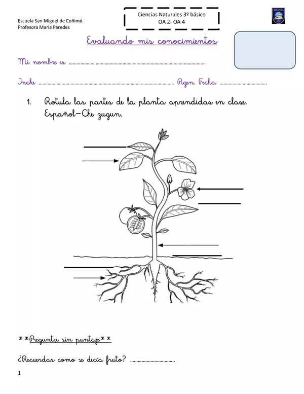 Las partes de la planta en español y mapudungun
