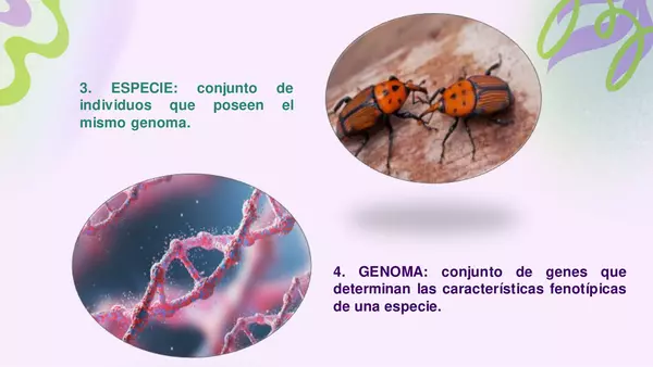 Niveles de organización de los seres vivos