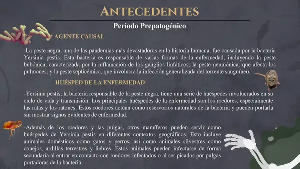 peste negra