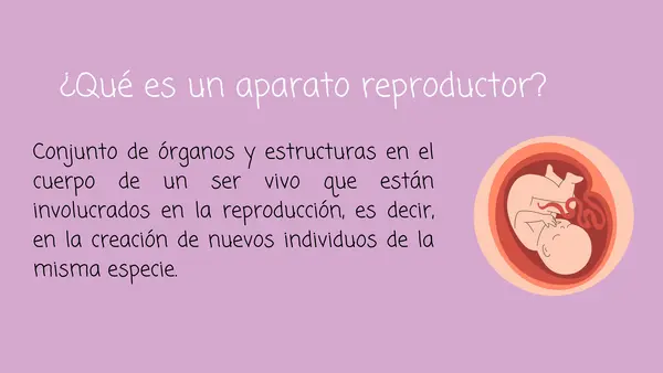 Presentacion Power point/canva Unidad 1 sexto básico Sexualidad
