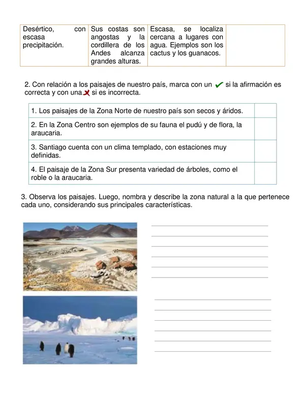 Guía de historia "Diversidad de paisajes de Chile" Tercer año básico.