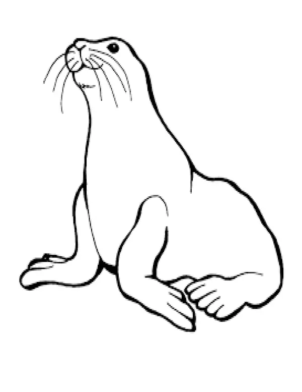Imágenes fichas de animales 
