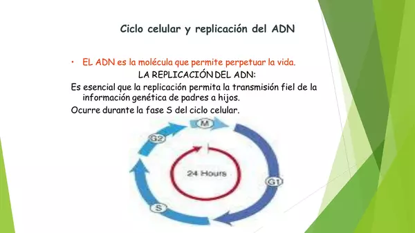 PRESENTACION REPLICACION DEL ADN, CUARTO MEDIO , BIOLOGIA