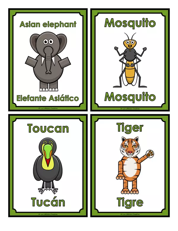 Flash Cards Animals Jungle Bilingual English Spanish Selva bilingue ingles español