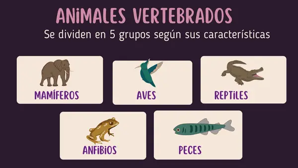 ANIMALES VERTEBRADOS (segundo básico)