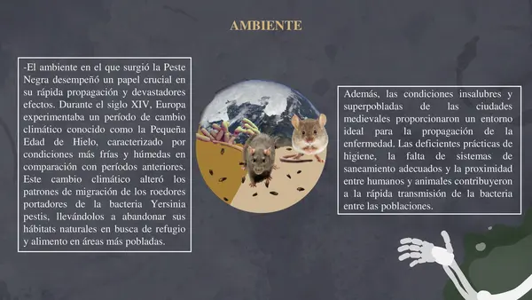 peste negra