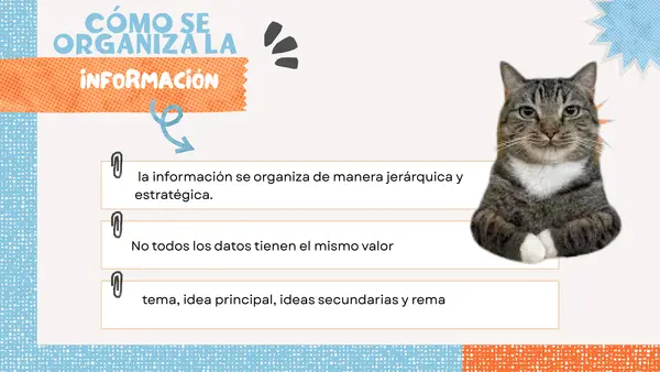 ✨ ¿Cómo diferenciar información en un texto? Recurso completo para desarrollar lectura crítica