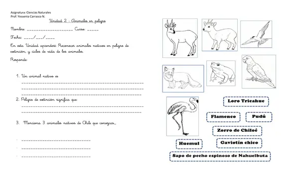 Ficha: Los animales nativos de Chile