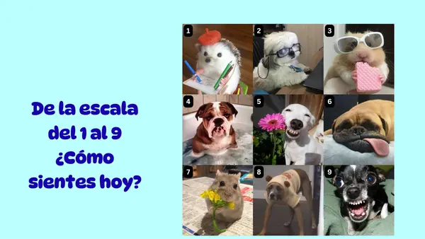 Presentación PPT  Normas de la Buena convivencia y seguridad Historia Primero Básico