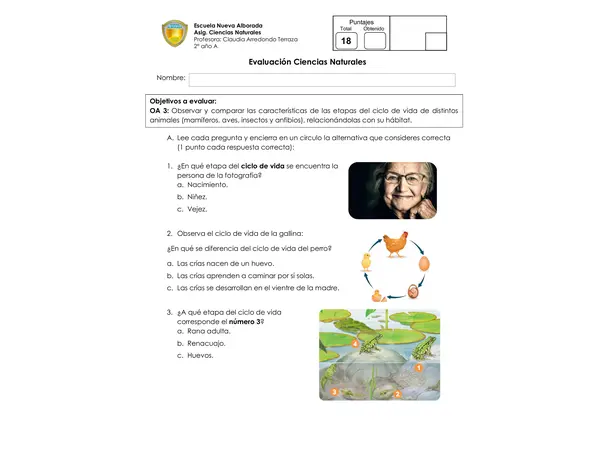 Evaluación los ciclos de vida"