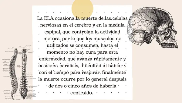 Salud y Sistemas Corporales