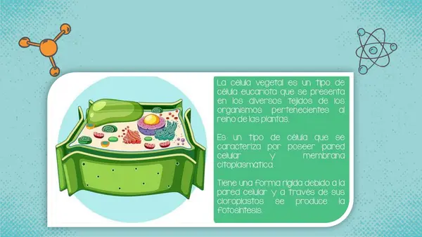 clase 1 ciencias " celula"
