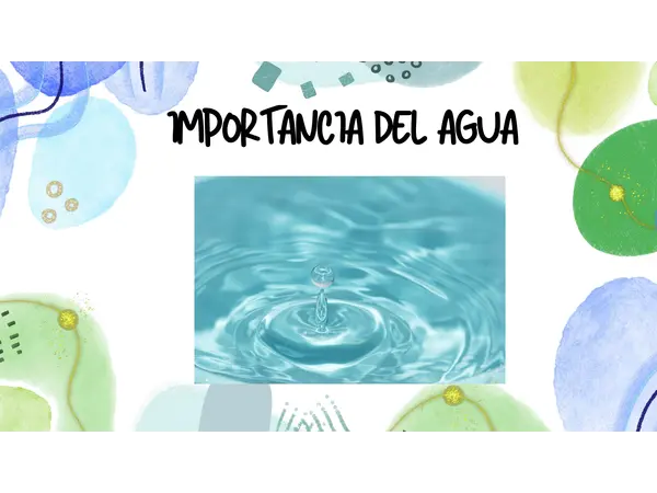 IMPORTANCIA DEL AGUA