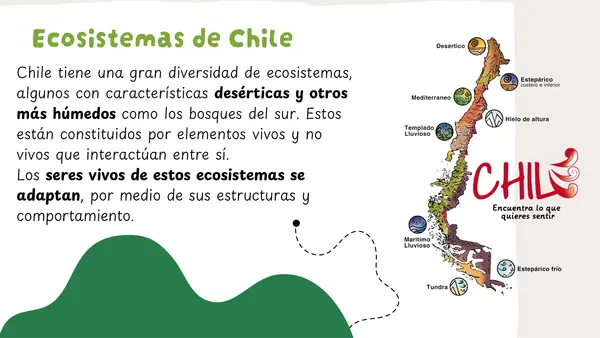 Ecosistemas de Chile Flora y Fauna