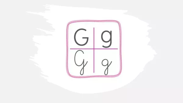 PowerPoint "Letra G"