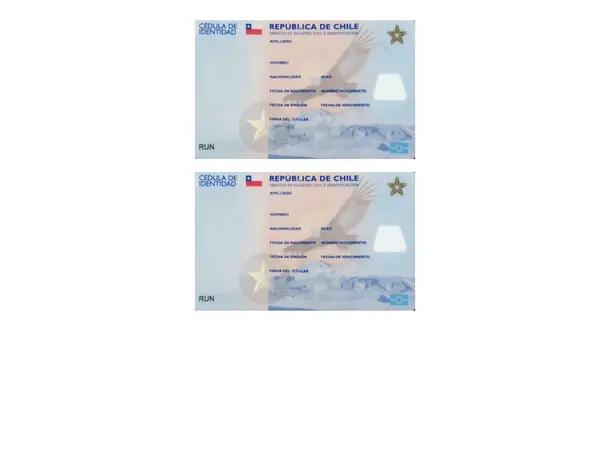  Carnet de Identidad Plantilla