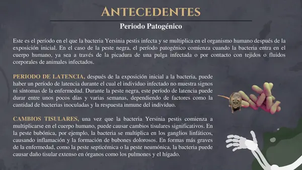 peste negra