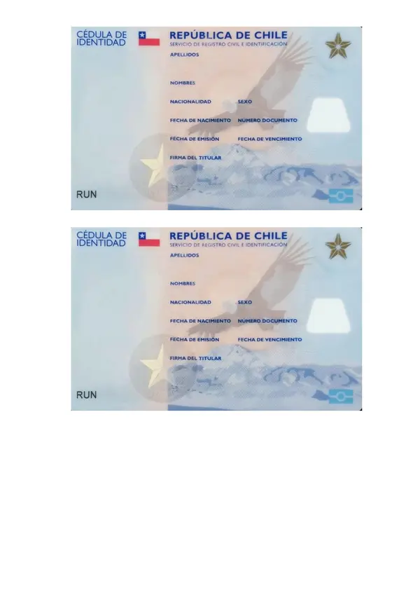  Carnet de Identidad Plantilla