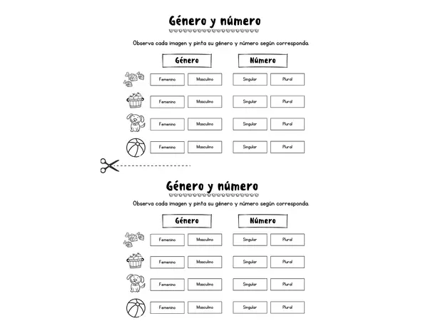 género y número