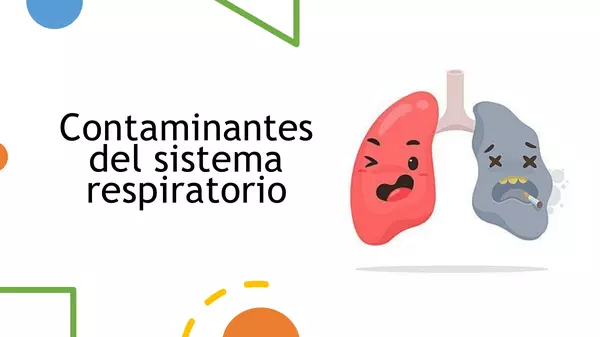 Efectos de los contaminantes en el sistema respiratorio