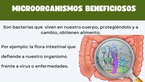 MICROORGANISMOS PATÓGENOS BENEFICIOSOS