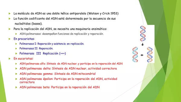 PRESENTACION REPLICACION DEL ADN, CUARTO MEDIO , BIOLOGIA