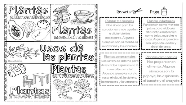 Uso de las plantas (lapbook o foldable)