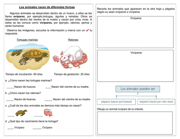 Guía de ciencias 1°año "Tipos de nacimiento de animales"
