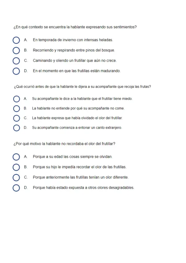 Mini ensayo Simce sexto básico 2024-2025