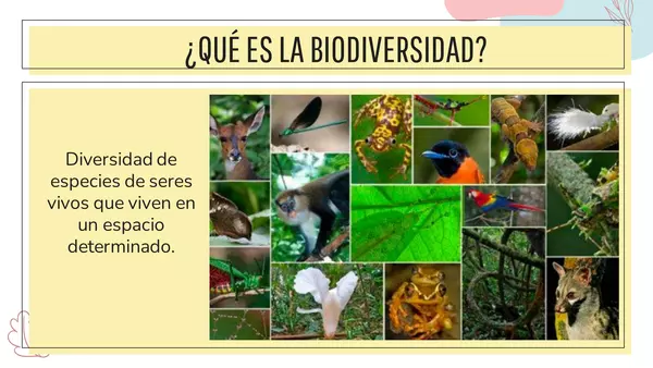 Efectos sobre la biodiversidad