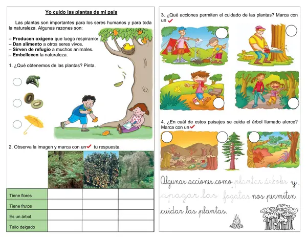 Guía de ciencias 1° año "Yo cuido las plantas de mi país"