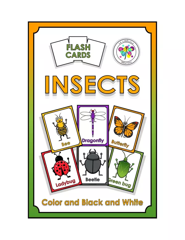 Flash Cards Insects Animals Cut Color