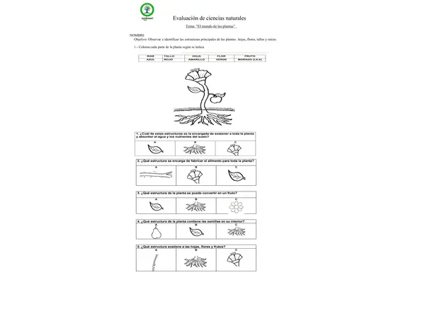 evalucion de plantas primero basico 