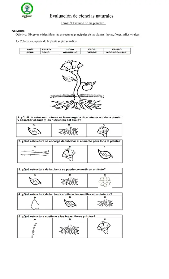 evalucion de plantas primero basico 