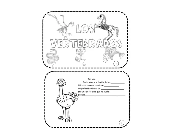 Libro de los vertebrados