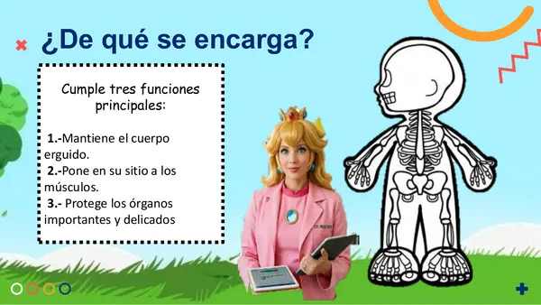 SISTEMA OSEO