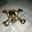 Kyto To - @kyto.to