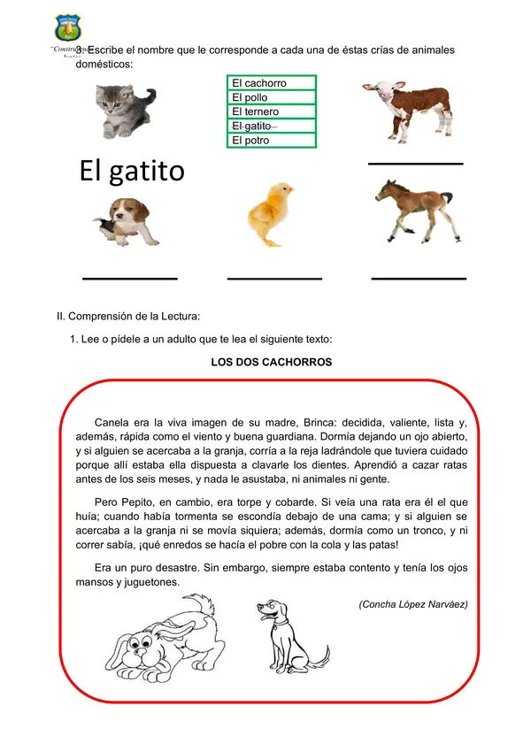 Guia de comprensión lectora