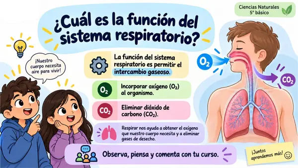5TO OA 3 SISTEMA RESPIRATORIO