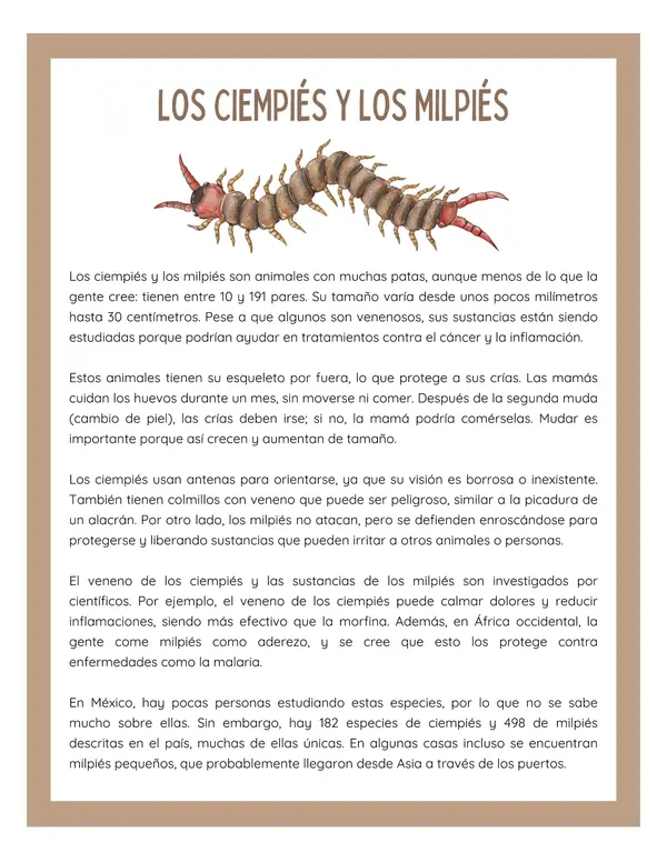 Comprensión lectora: Artículo Informativo - Los ciempiés y los milpiés