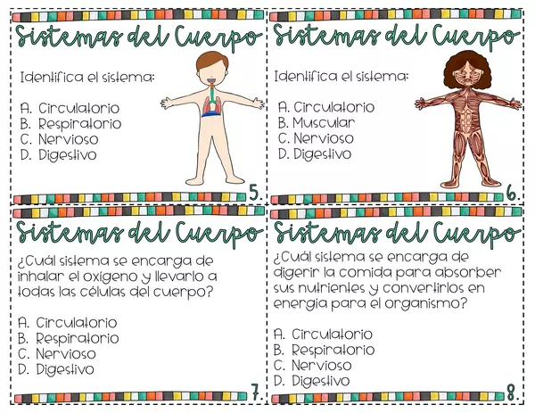 Los sistemas del cuerpo. Preguntas opción múltiple