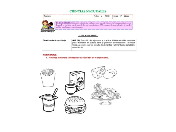 Guia sobre alimentación saludable primero básico