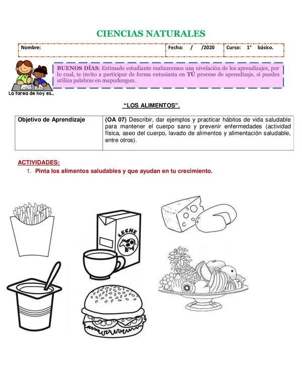 Guia sobre alimentación saludable primero básico