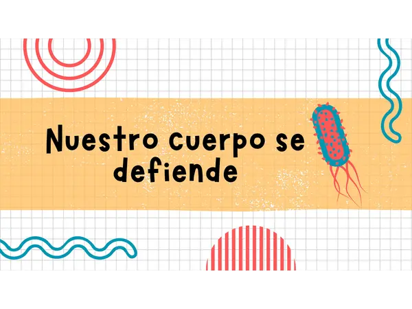 Barreras de defensa (primarias, secundarias y terciarias)