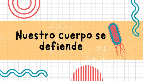 Barreras de defensa (primarias, secundarias y terciarias)