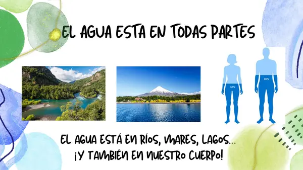 IMPORTANCIA DEL AGUA