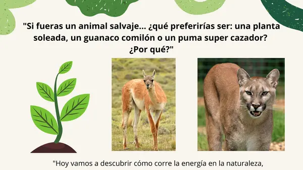 Flujo de materia y energía